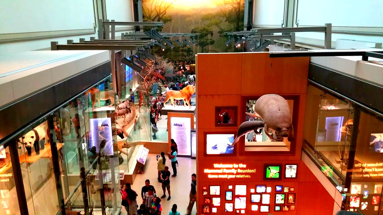 Best 7 Must See Washington DC Museums