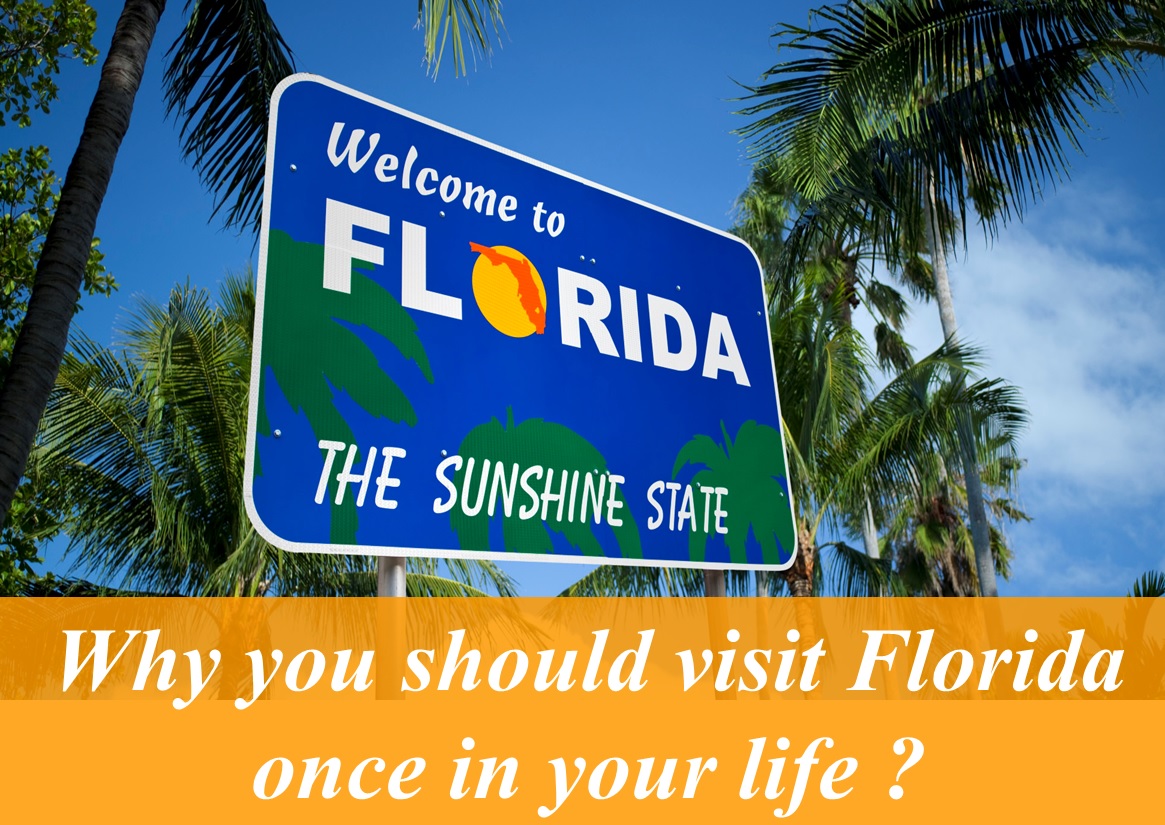 Why You Should Visit Florida Once In Your Life Ana S World