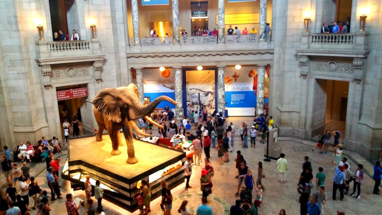 Best 7 Must See Washington DC Museums